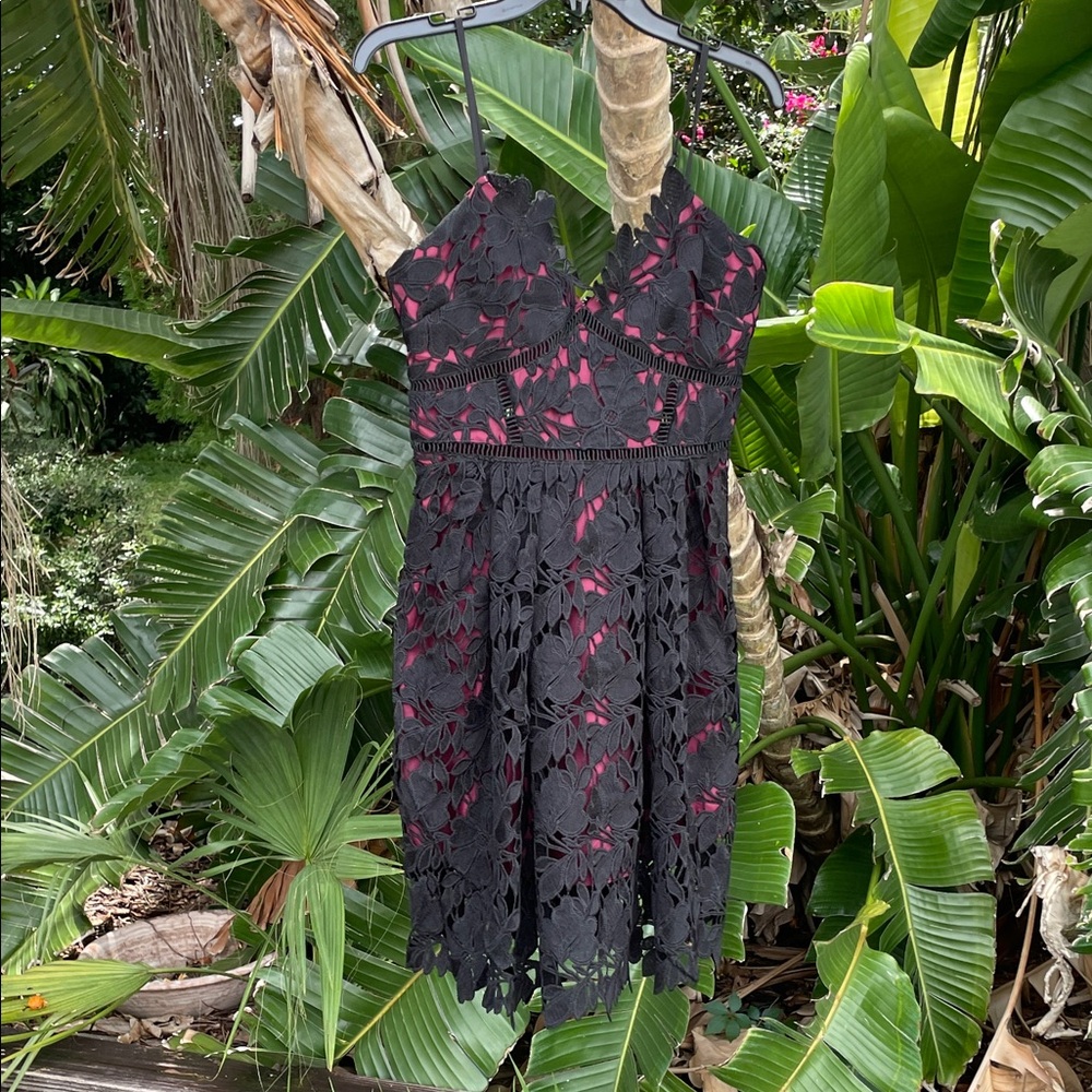 Romeo and Juliet couture dark floral lace, peekaboo, sheer dress